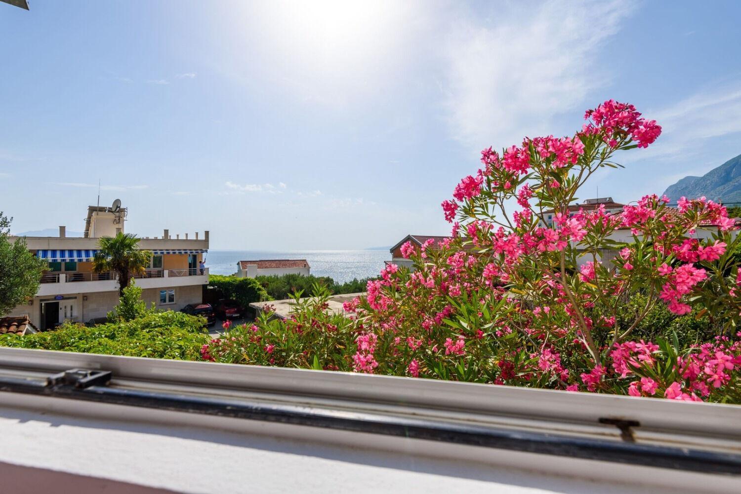Apartments Goge Gradac  Zewnętrze zdjęcie